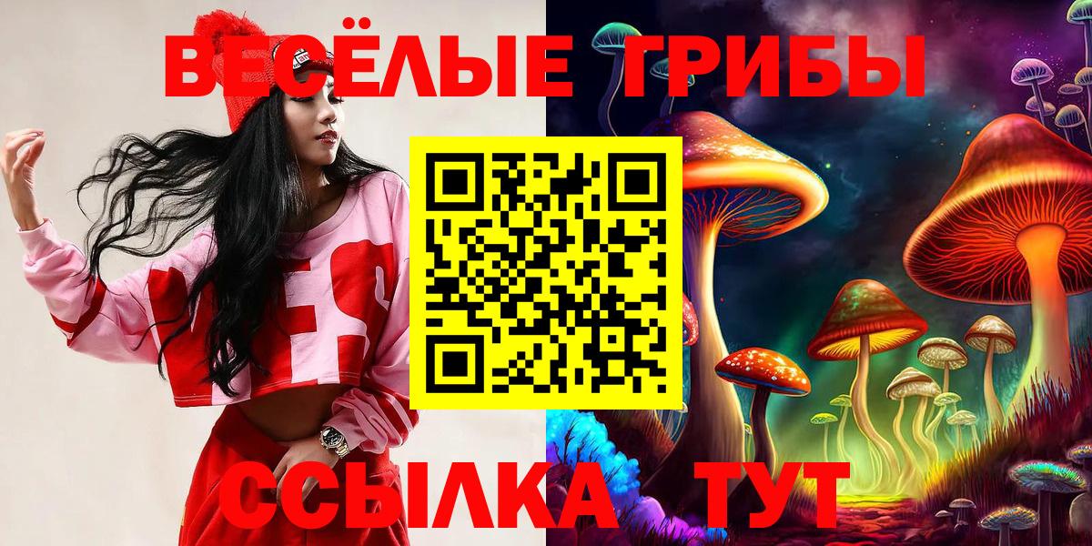 Ангарск  Галлюциногенные грибы MAGIC MUSHROOMS  где продают   Вход с VPN 